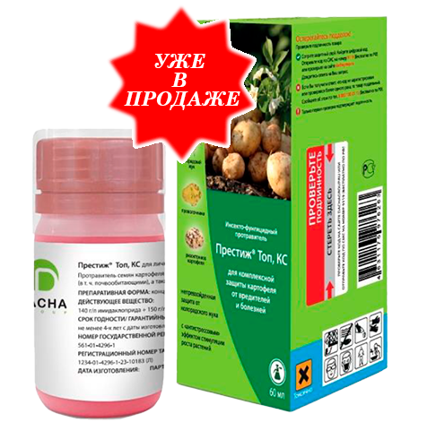 ПРЕСТИЖ Топ, КС*